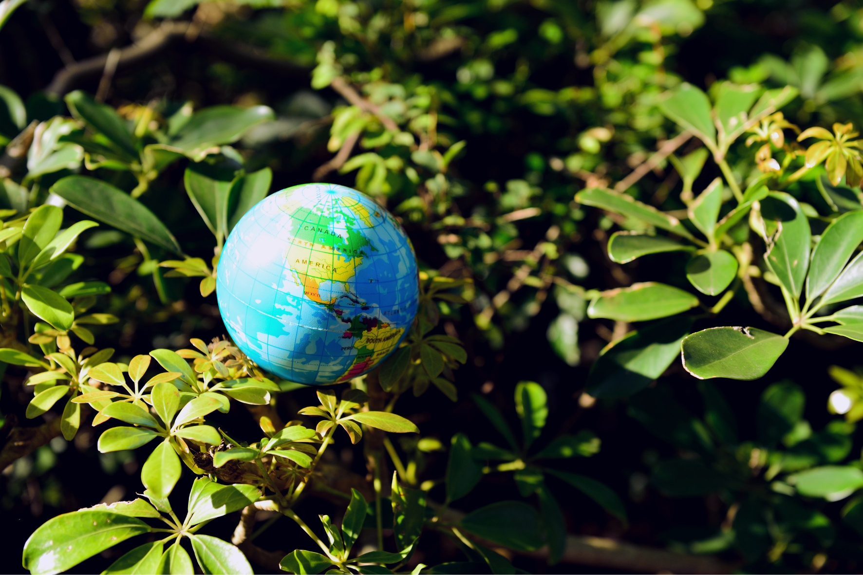 FDM / FFF technology is a chance for our planet and us- we just need a broader view